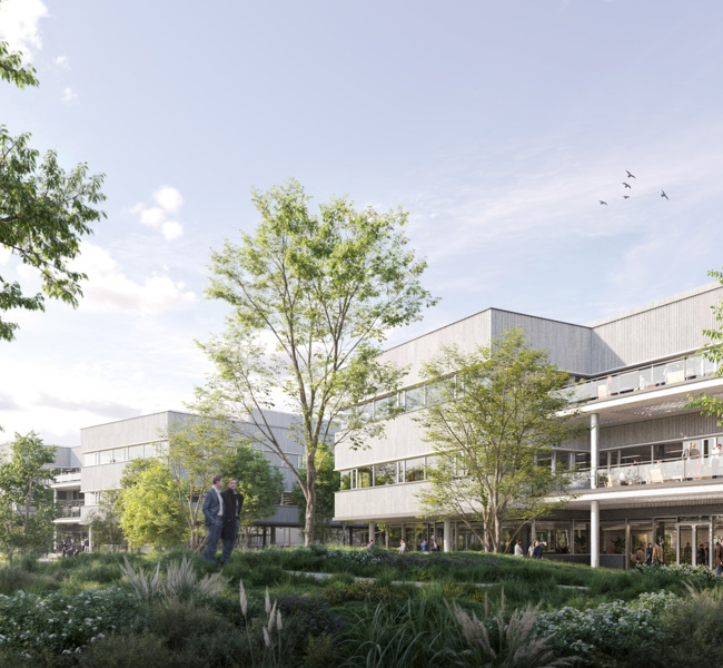 Garden (CGI)