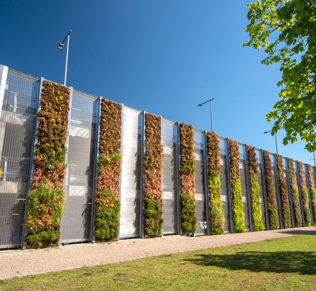 Living Wall
