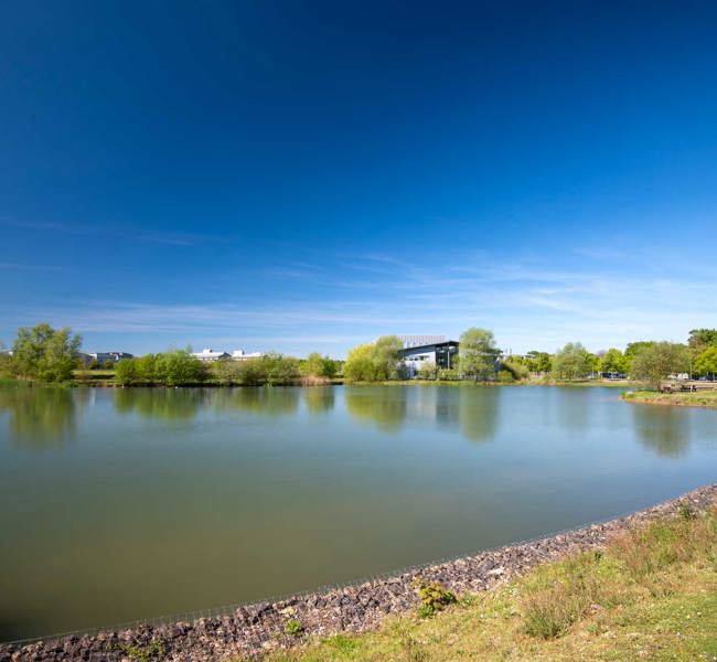 The Lake