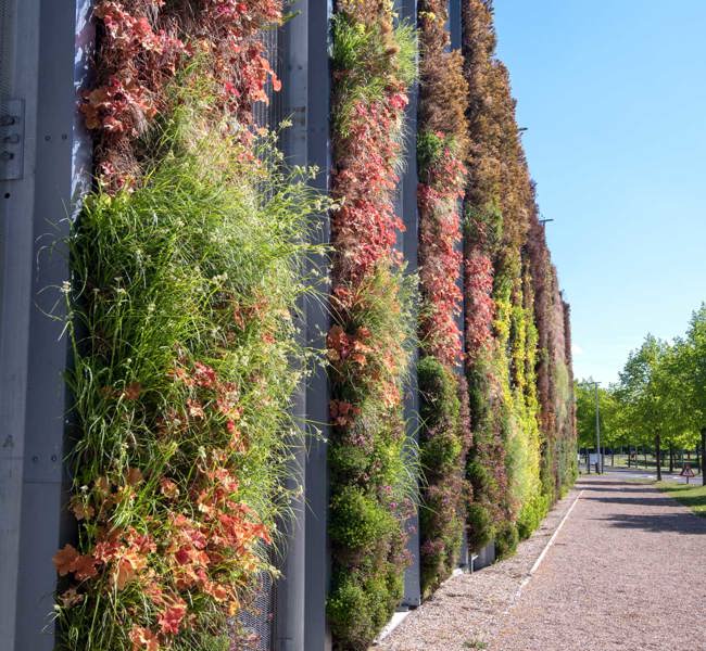Living Wall detail