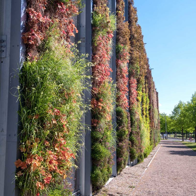 Sustainable Vision
