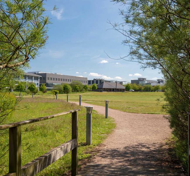 Foot paths across Granta Park