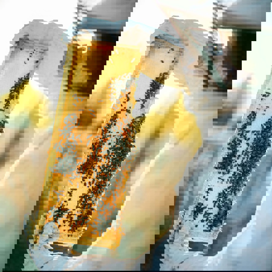 Content Card