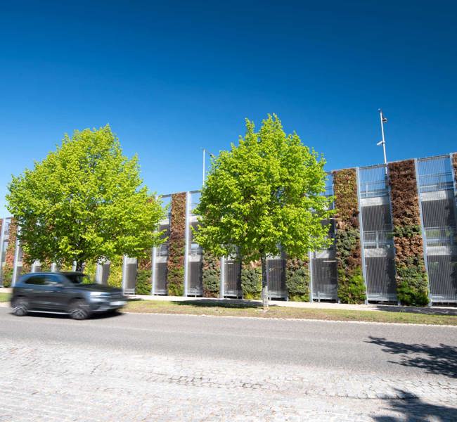 Living Wall